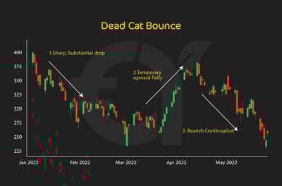 Understanding Trends in Trading